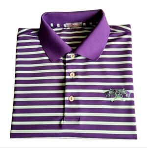 Peter Millar Summer Comfort Polo Golf Shirt Mens XL Green Purple Striped